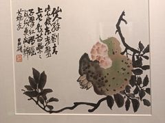 -【朵云轩艺术中心】博洛尼亚插画展·中国巡展·上海站
