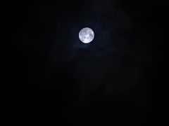 -必胜客(远大路店)