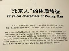 -北京周口店北京人遗址博物馆