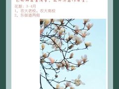 -泰山花样年华景区