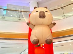 -深圳龙华星河COCO City(民治店)
