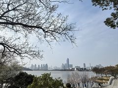 -古琴台