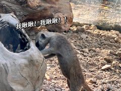 -水上乐园·欢乐世界