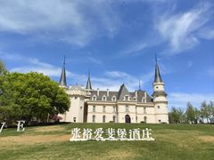 -北京张裕爱斐堡酒庄