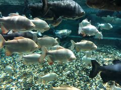 -成都浩海立方海洋公园