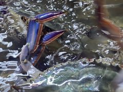 -中国舟山国际水产城