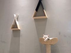 -藏猫猫咖啡主题馆(中央大道店)