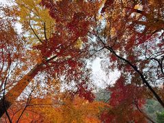 -狼山风景名胜区