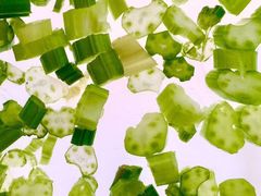 -粤麓轩餐厅(中信泰富广场店)