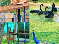 -南戴河国际娱乐中心