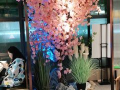 -野妹火锅(龙岗店)