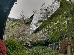 -上海皇廷花园酒店·御宴中餐厅