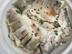 -单家老院·院子里的青岛菜(沙子口店)