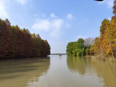 -上海海湾国家森林公园