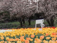 -苏州上方山国家森林公园