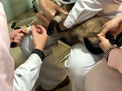 -宠颐生中康贝怡动物医院