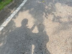 -重庆自然博物馆(新馆)