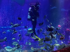 -沈阳海洋探索中心