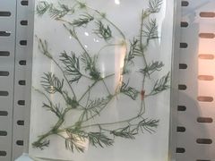 -中国湿地博物馆