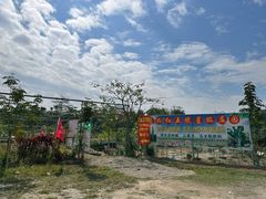 -荔枝红五号农庄