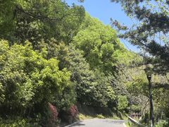-汤山公园