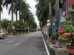 -盛兴中英文学校