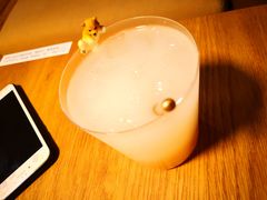 -柴务处·柴犬主题狗咖