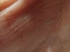 -肖记公安牛肉鱼杂馆·省级非物质文化遗产(三角路直营店)