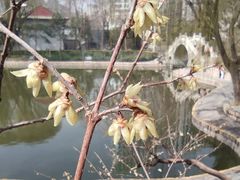 -团结湖公园