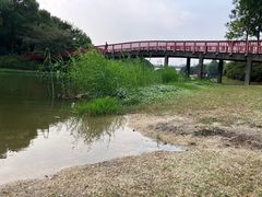 -美兰湖景区