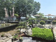 -蘇河湾·新鲁菜·泰山宴(泰山店)