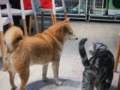 -小时光咖啡馆(北锣鼓巷店)