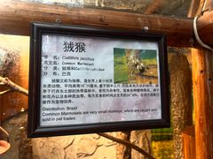 -上海大自然野生昆虫馆(东方明珠·爬宠昆虫探索中心)