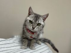 -达爱动物医院·犬猫分区·CT·复杂眼科(远洋山水分院)