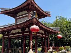 -大唐博相府酒店·陕西官府菜