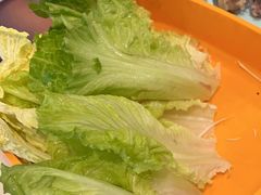 -润园四季椰子鸡火锅(南山海岸城店)