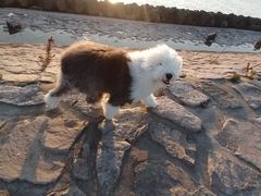 -南汇嘴观海公园