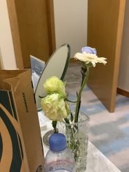 -智美品质医美