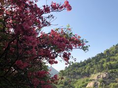 -木兰云雾山