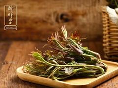 -醉辉皇原味海鲜江南菜(成都大魔方店)