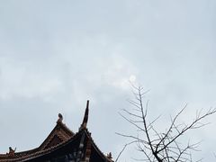 -东庐山观音寺
