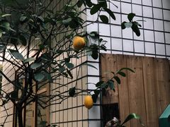 -懒鱼时光馆(沙坪坝店)