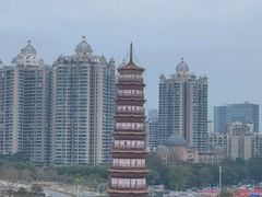 -小茶闲舍·观景商务茶馆(广州塔店)
