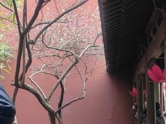 -钱王祠