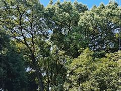 -杭州植物园