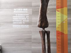 -中华赏石园