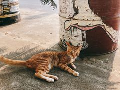 -NOTOOCAFE不二咖啡馆(岩前店)