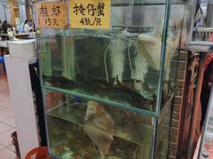 -崖口煲仔饭