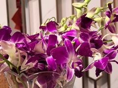 -转角·老弄堂上海菜(长寿路店)