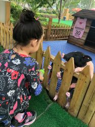 -萌宠亲子动物乐园(槐房万达店)